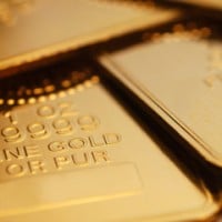 Gold Juniors Ready to Shine