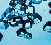 Invest Smarter in the New Biotech Landscape