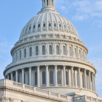 It’s Up to Policymakers to Fix the Global Mess