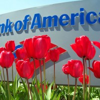 Even a Profitable BofA Shows Banking’s Risks