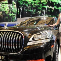 Is Luxury a Liability in 2013?