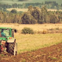 Catch the Sweet Smell of Fertilizer Stocks