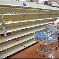 Navigating the Food Crisis: Go Generic