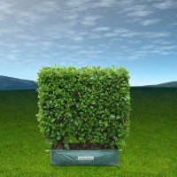 Another New ETF Targets ‘Smart Money’