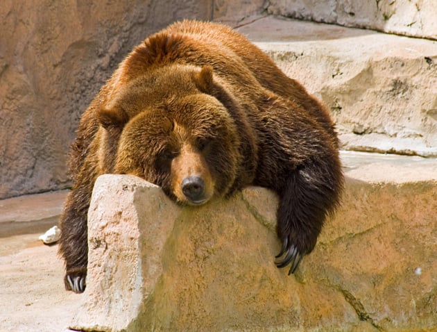 3 Industrial Stocks in the Bears’ Crosshairs