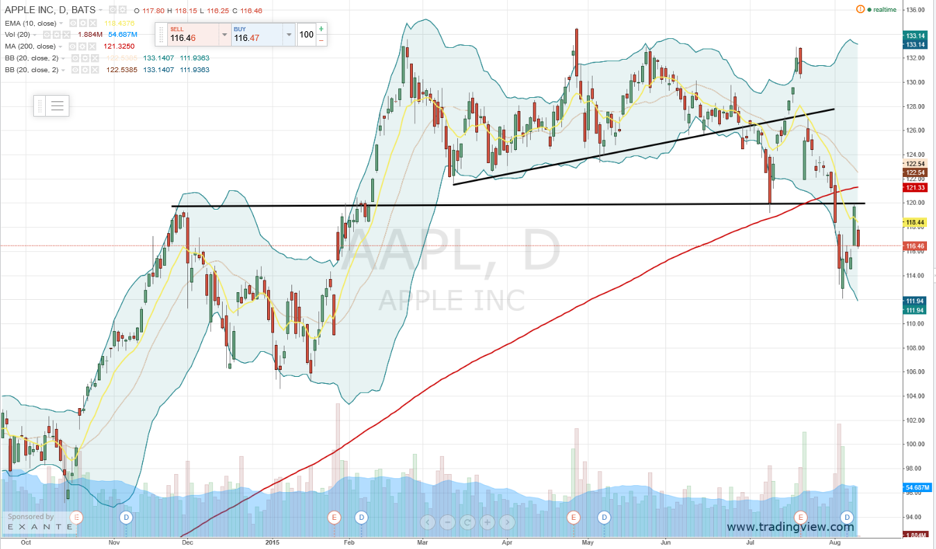 aapl options trader