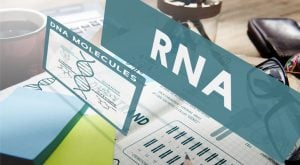 Stocks to Buy That Could Double: RXi Pharmaceuticals (RXII)