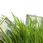 money growth grass 630 ISP