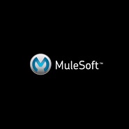 IPO Prospect No. 8: MuleSoft