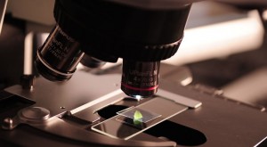10 Biotech Stocks With Symptoms of Strong Growth