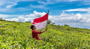 Best Stocks for Survival: Telkom Indonesia (TLK)