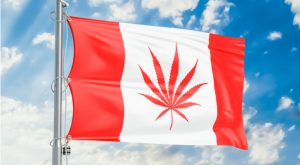 Marijuana Stocks News: Canopy Growth Corp Pops on NASDAQ Plans