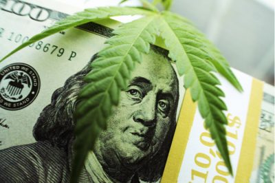 29 Marijuana Stocks to Buy as the Future Turns Green