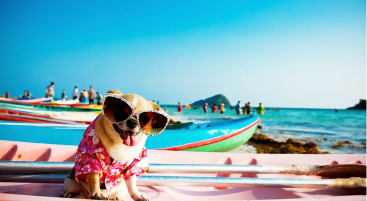 fintech stocks - 4 Fintech Stocks for Your Summer Shopping List