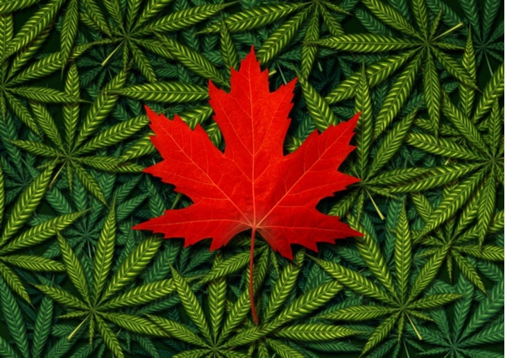 legal marijuana - Canada Goes Green: Here Are Your Legal Marijuana Options