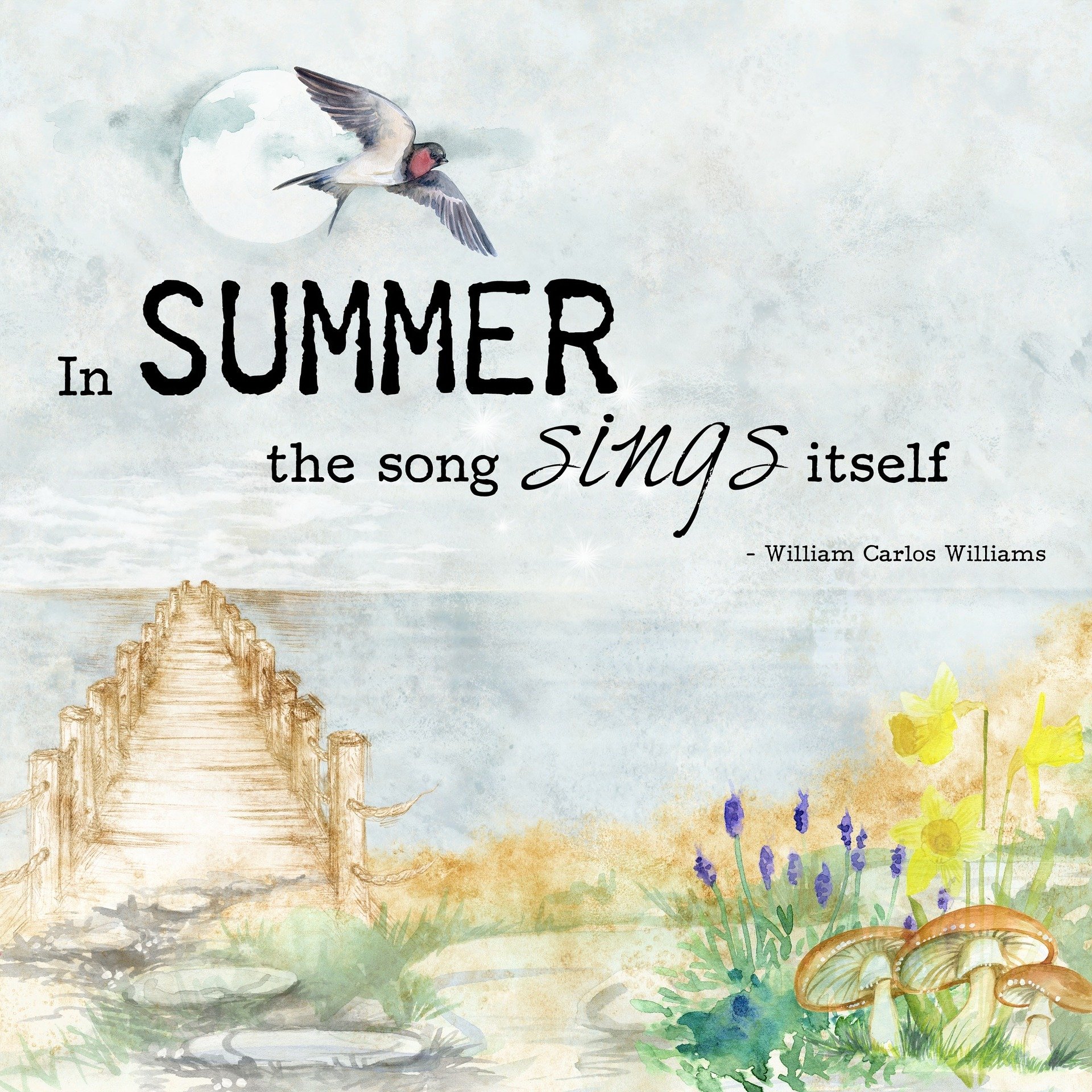 Image with 7 summer quotes