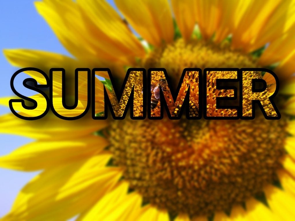 7 Happy First Day of Summer Images to Post on June 21, 2019 7 Happy