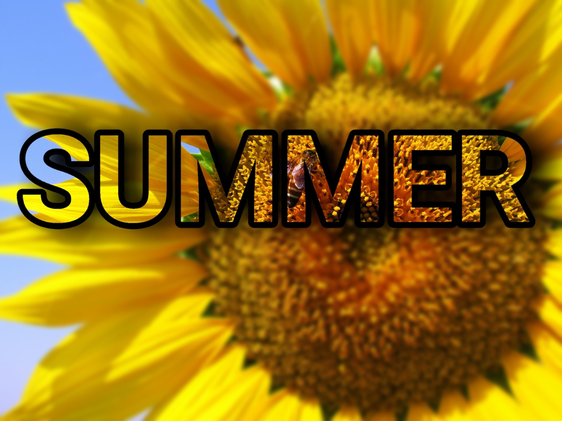 happy 1st day of summer images