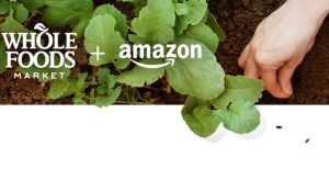 10 Amazon Businesses: Whole Foods