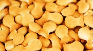 Campbell Announces Goldfish Recall on Salmonella Risk