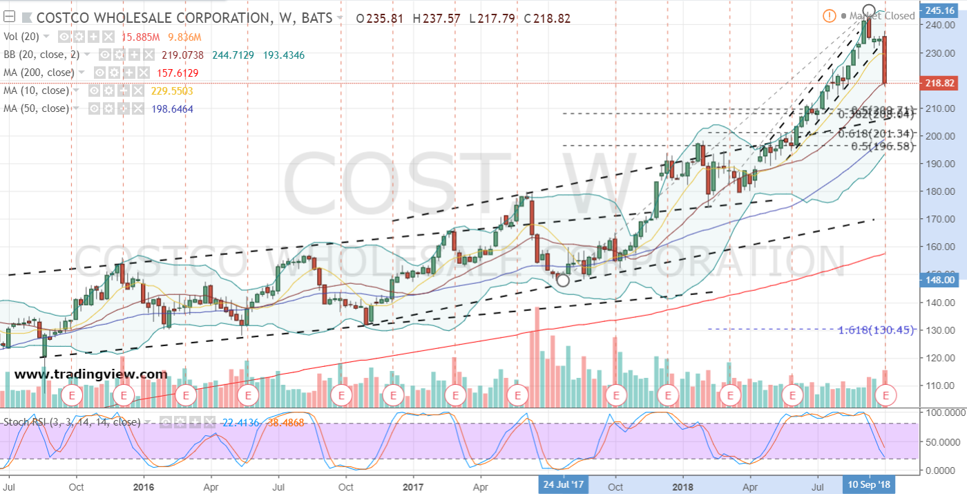 Costco Stock Weekly Chart 