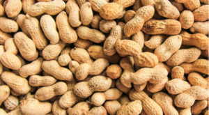 Peanut Allergy Treatment May Be Available in 2019
