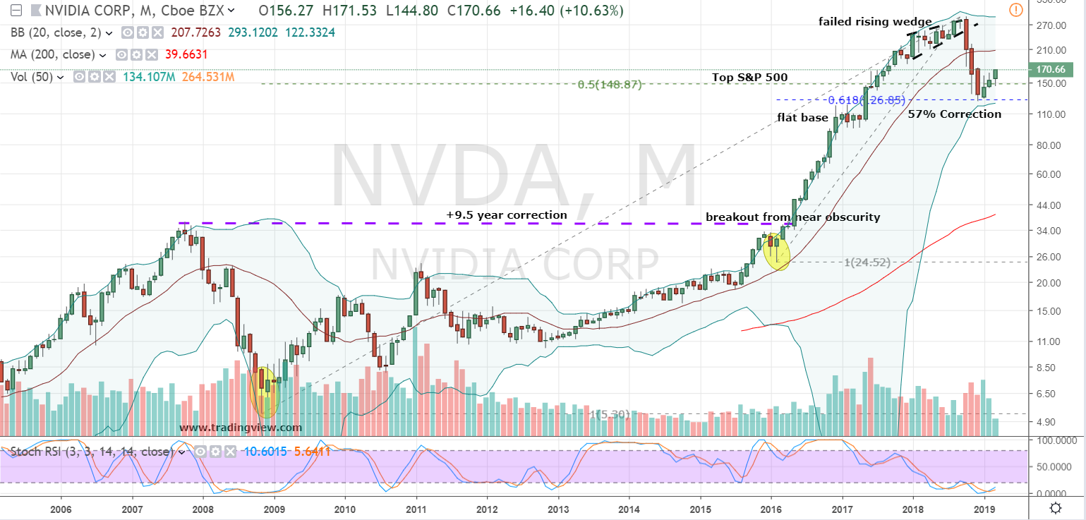 NVDA Stock Monthly Chart