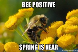 7 Funny Spring Memes to Welcome the New Season 7 Funny Spring Memes to