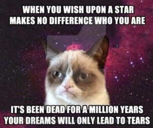 RIP Grumpy Cat: 6 Grumpy Cat Memes to Remember the Popular Feline RIP ...