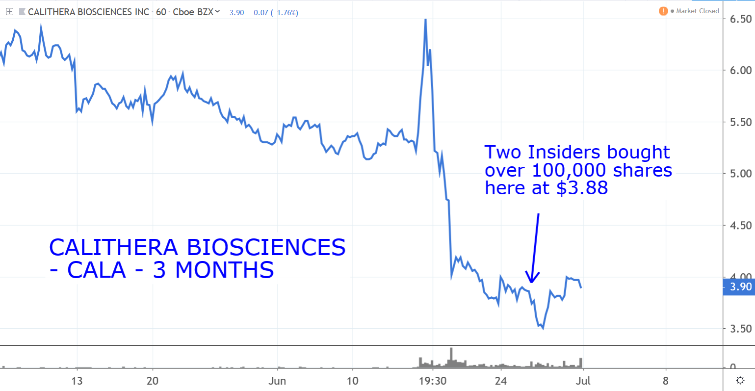 7 Stocks on Sale the Insiders Are Buying - Wealth Insider Alert