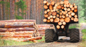 Invesco MSCI Global Timber ETF (CUT)