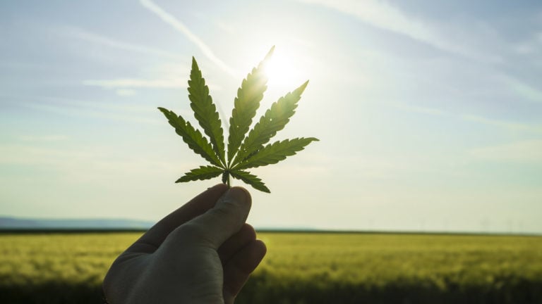 Cannabis stocks - 2 A-Rated Cannabis Stocks Are the ONLY Ones You Should Buy Right Now