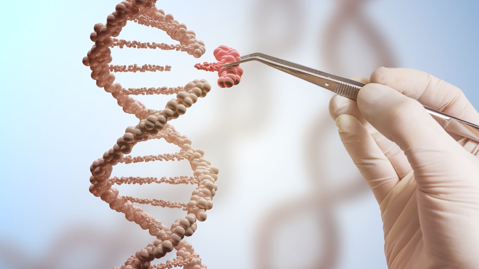 3 Top-Rated Biotech Stocks Wall Street Analysts Are Loving Now: January 2024