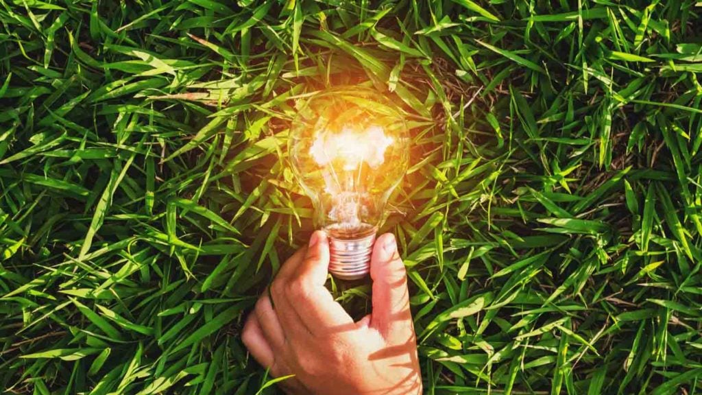 Image of a person holding a lit lightbulb