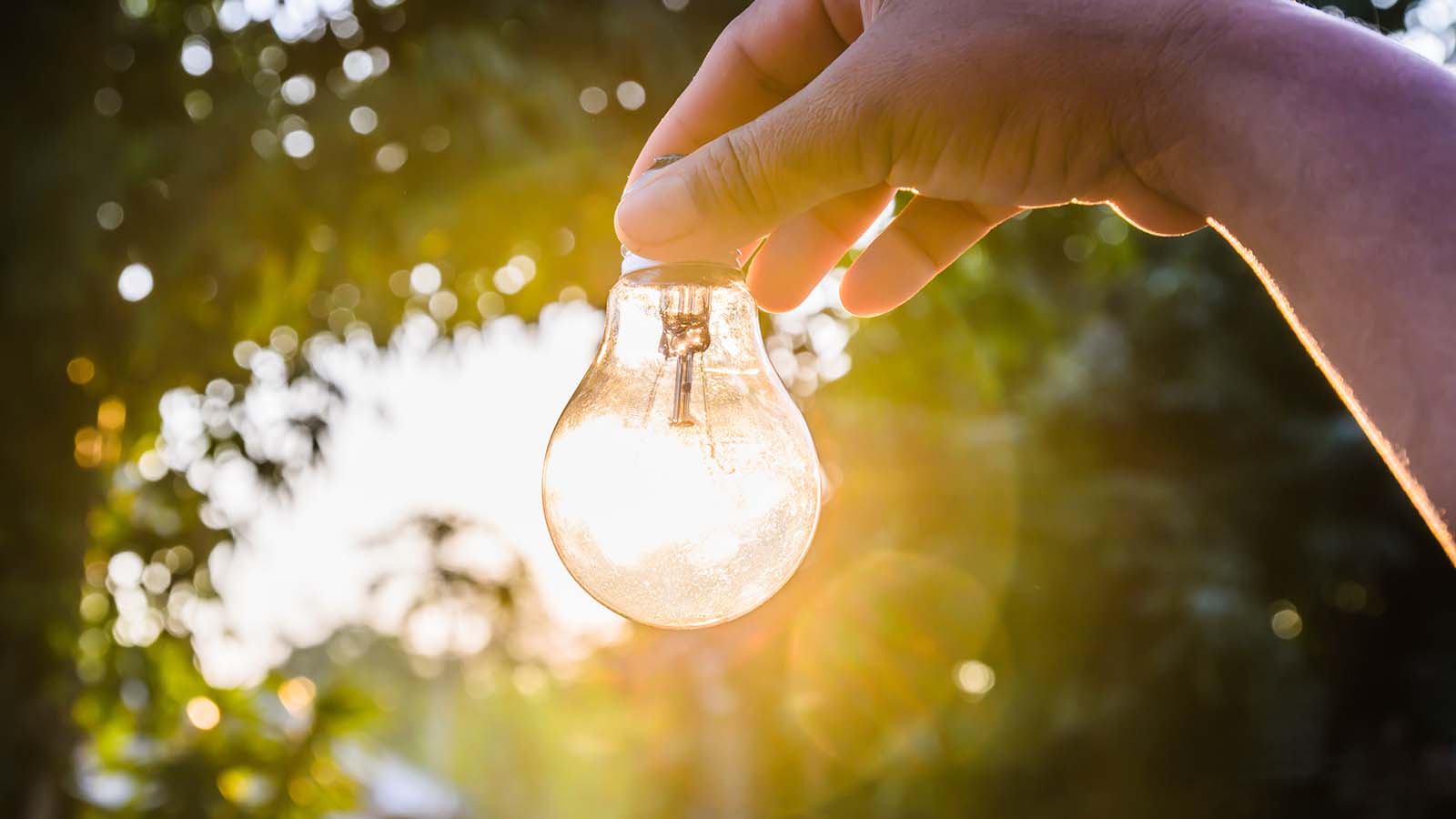 image of a hand holding a bright light bulb outdoors with trees in the background