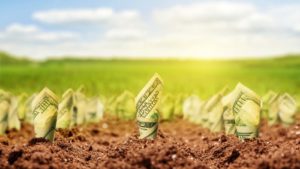 Image of money growing out of dirt in a field on a sunny day, represents growth stocks