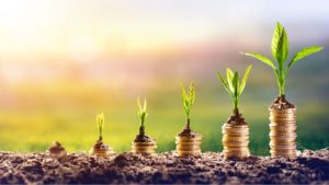 coins and plants growting up from the ground to represent growth stocks to buy