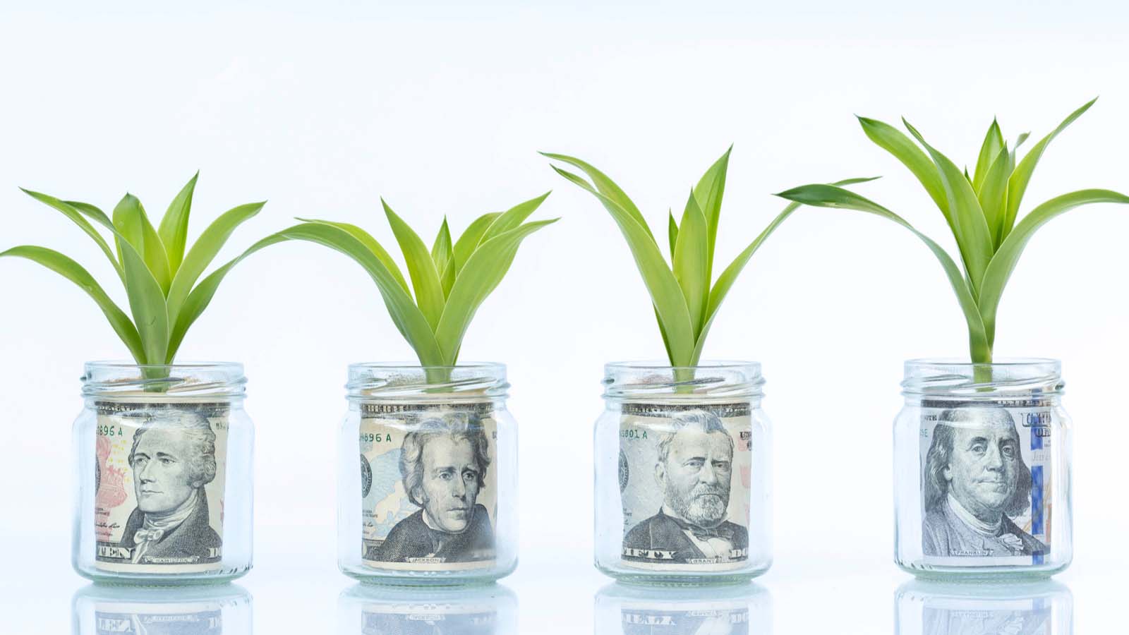 Jars of money with green growth sprouts.