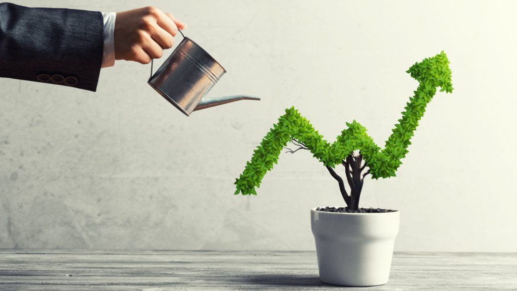 a person in a suit waters a topiary plant trimmed to look like a stock trend arrow pointing up, represents growth stocks