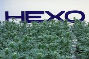 Is Hexo Stock a Must-Buy Cannabis Play?