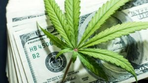 image of marijuana leaf on top of several one-hundred dollar bills