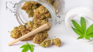 10 Medical Marijuana Stocks to Cure Your Portfolio