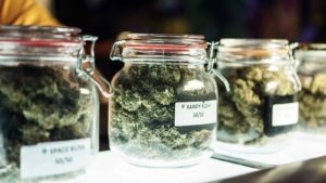 10 Medical Marijuana Stocks to Cure Your Portfolio