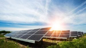 Solar panels in an open area, with the sun shining over them; solar stocks