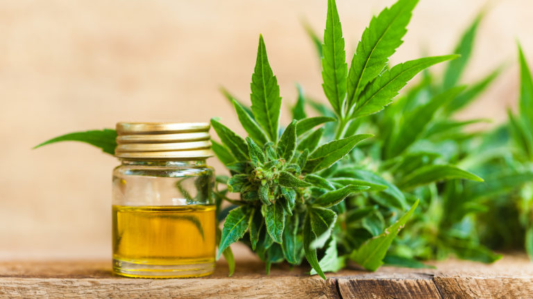 stocks to buy - 7 CBD Stocks to Buy That Are Still Worth Your Investment Dollars