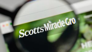 Scotts Miracle-Gro (SMG) logo displayed on a web browser and magnified by a magnifying glass