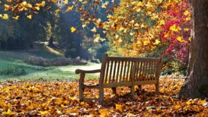 Happy First Day of Fall 2019: 5 Fall Quotes to Celebrate Autumn