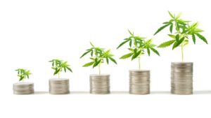 7 Reasons to Buy Canopy Growth Stock