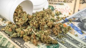 Image of cannabis on top of dollar bills