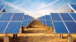 Rows of solar panels are lined up around a center aisle.